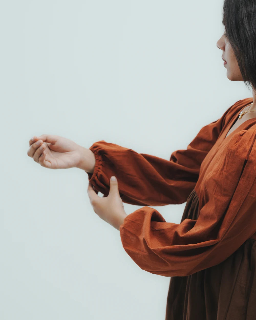 Terracotta Tale Dress